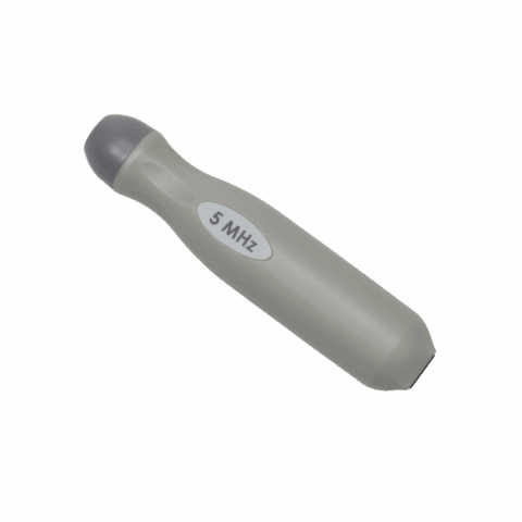 D5
